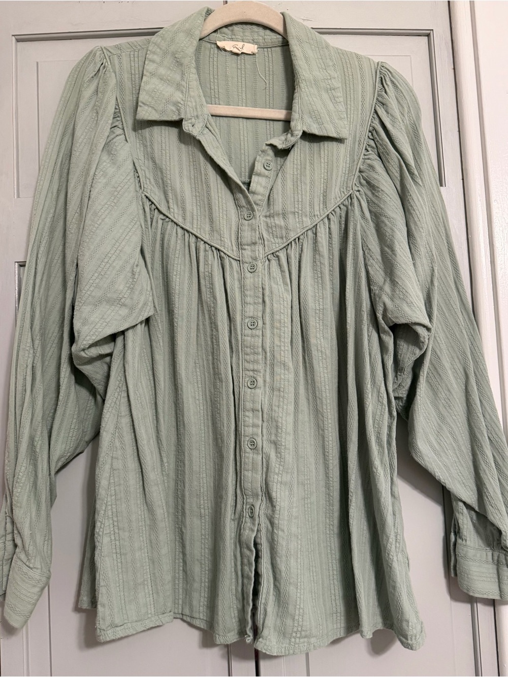 Light Sage Green Button-Front Women’s Blouse